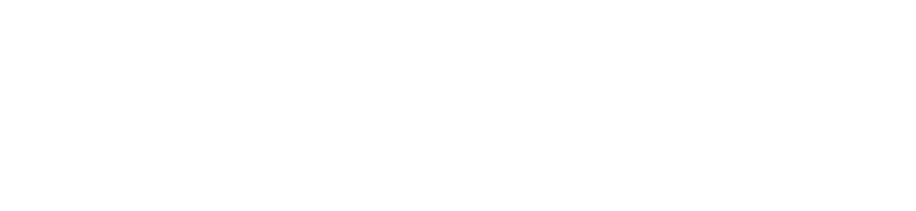 dirks-jaeger.systems Logo